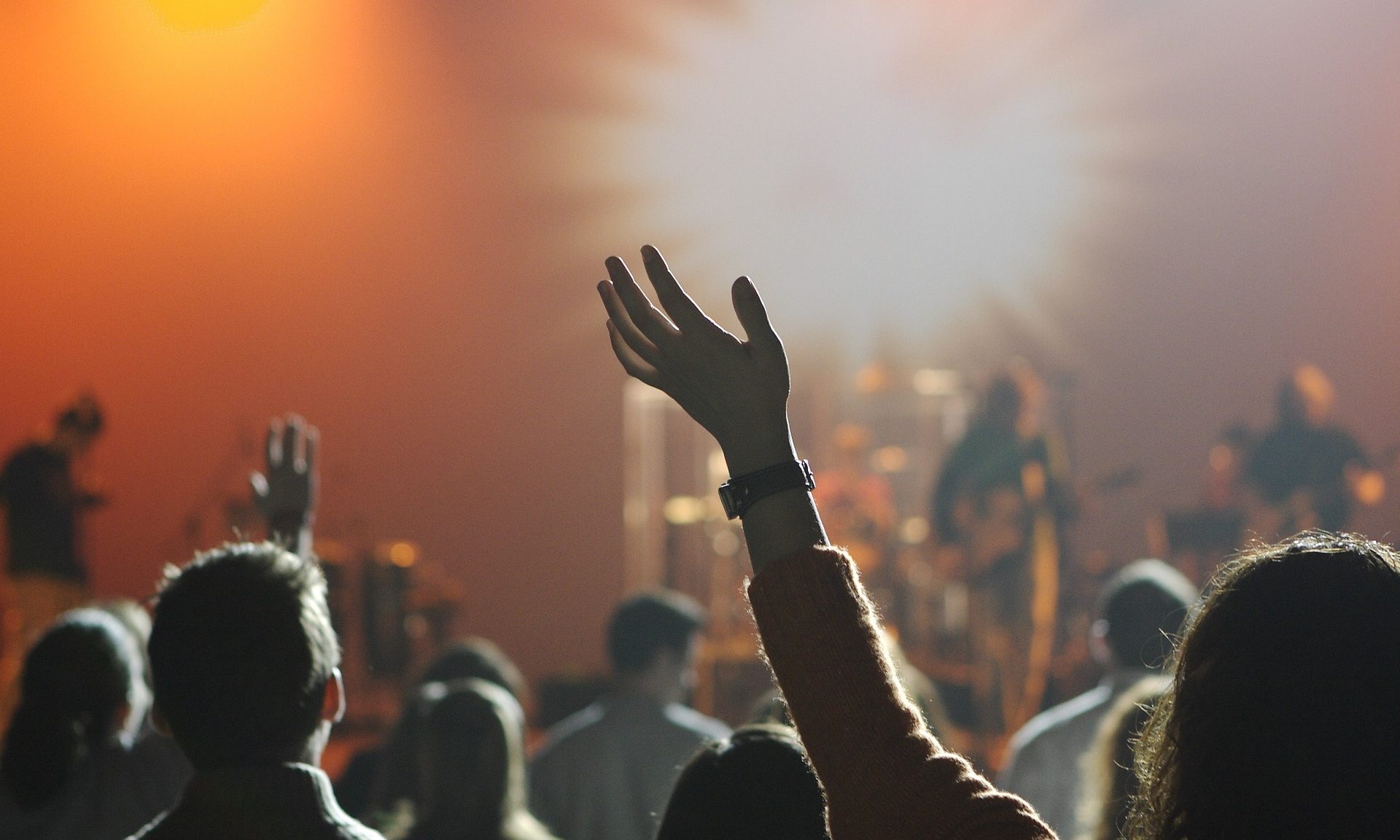 cropped-audience-868074_1920.jpg