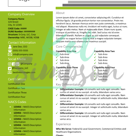 Modern Capability Statement Template - CSNI1