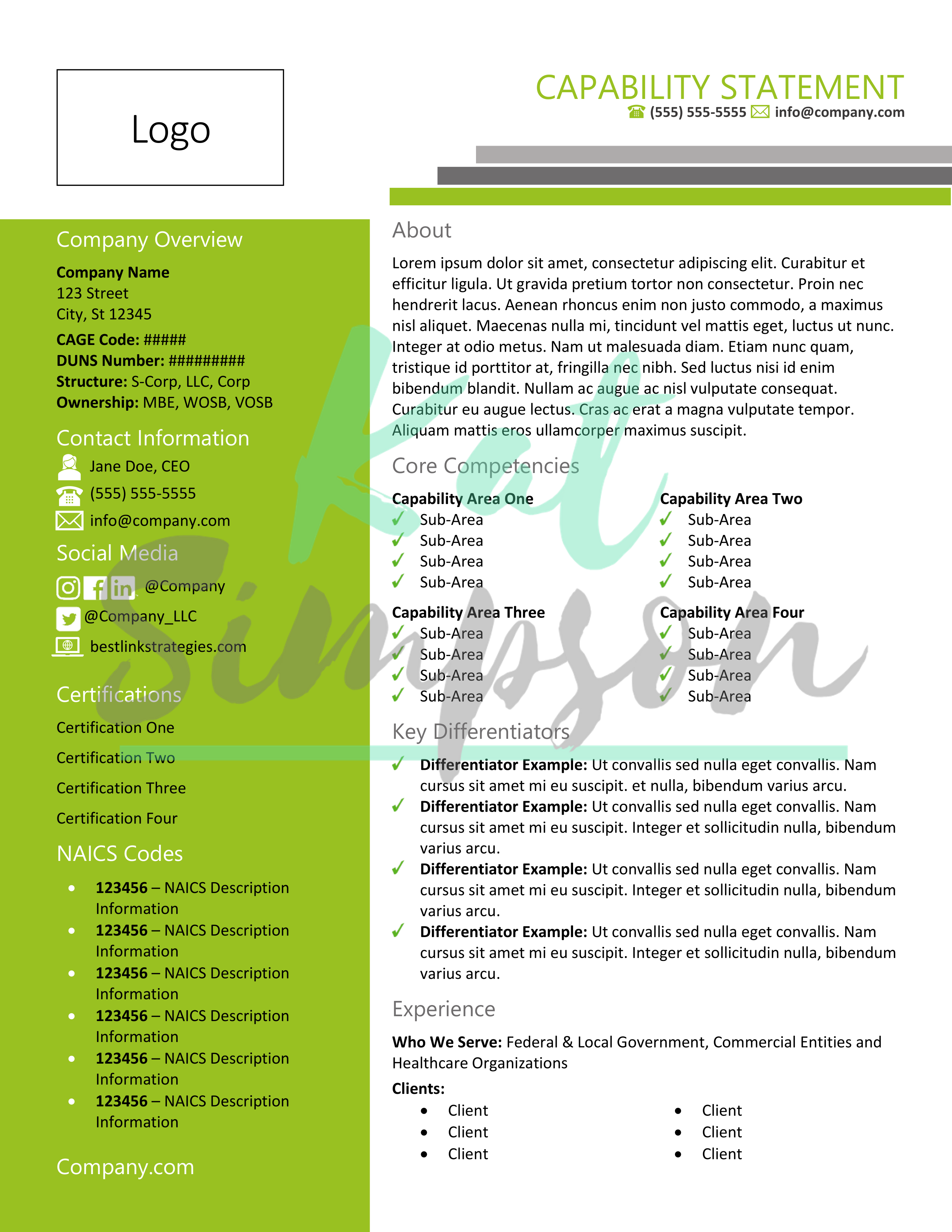 Modern Capability Statement Template CSNI1