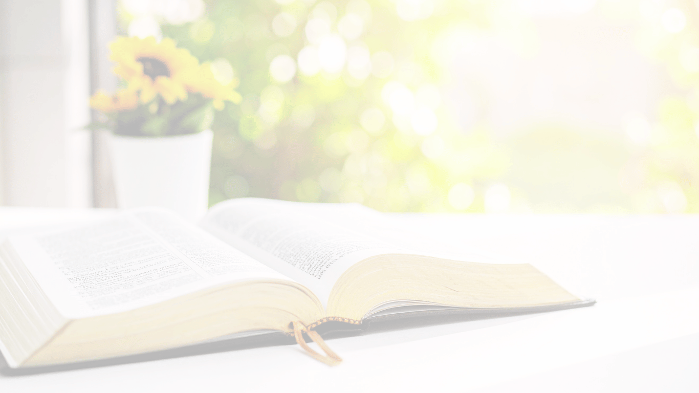 Image of a bible open on a desk